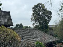 -峨眉山报国寺