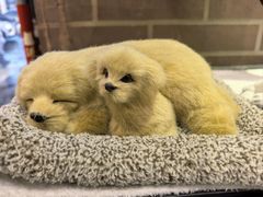 -安德烈俄式西餐厅(中央大街店)