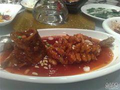 松鼠桂鱼-老洋房花园饭店(绍兴路店)