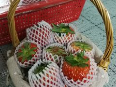 -菜园坝水果市场