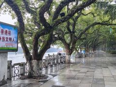 -桂林两江四湖景区