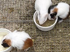 -万达广场(南京江宁店)