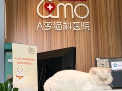 -御宝贝·A梦猫科宠物医院(国际猫友好医院)