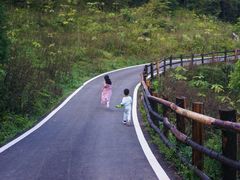 -武陵山森林公园
