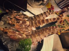 -鲜入围煮花胶鸡海鲜火锅