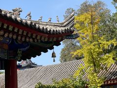 -西安市广仁寺