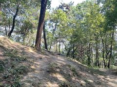 -南山植物园