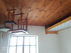 -金山农民画村-枫泾波兰倒置屋