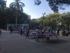 -垂虹公园