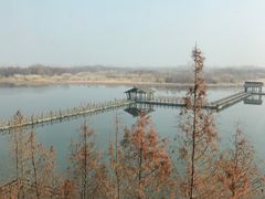 -溱湖国家湿地公园