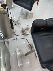 -东方麒麟·潘多拉SALON