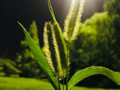 -左陕右甘(亚运村店)