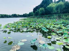 -上海市保健医疗中心(华东疗养院)