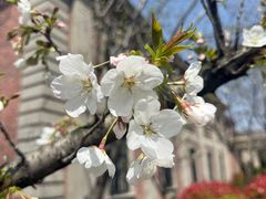 -上海瑞金洲际酒店