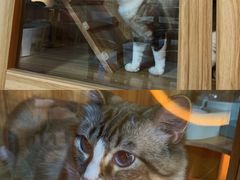 -白兔子密室(长寿路店)