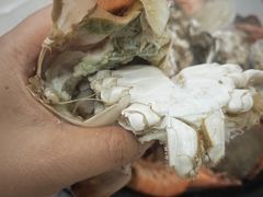 -仙螺岛海鲜自助餐厅(总店)