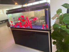 -上海和展广汽丰田4S店(老闵行店)