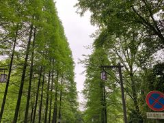 -青城山