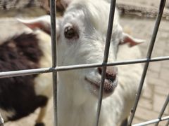 -武汉紫薇都市田园