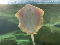 -珠海长隆海洋王国