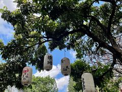 -光明刘冰乳鸽店(光明法政北路店)