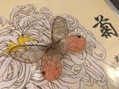 -上海大自然野生昆虫馆(东方明珠·爬宠昆虫探索中心)