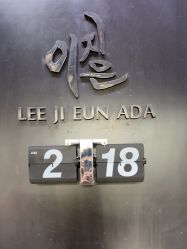 -韩国李知恩形象设计