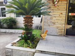-翠茗农庄土菜馆(天目湖店)