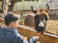 -HERRE·FARM 赫尔露营农场·团建聚会包场