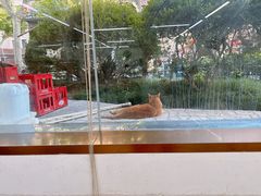 -玉华饮食店(茅台路店)