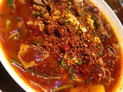 香辣水煮牛肉-眉州东坡·熊猫主题餐厅(枫蓝店)