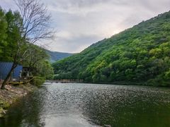 -龙道沟景区