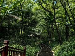 -青城山