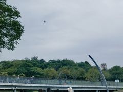 景点-深圳人才公园