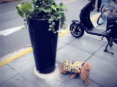 -81BAKERY(大学路店)
