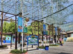 -重庆海昌加勒比海水世界