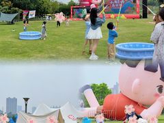 -广西壮族自治区药用植物园