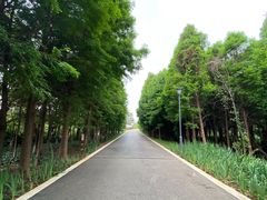 -呈贡滇池生态湿地公园