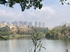 -重庆彩云湖湿地公园