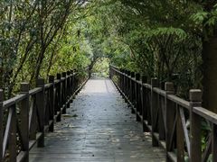 -贡湖湾湿地公园