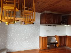 -金山农民画村-枫泾波兰倒置屋