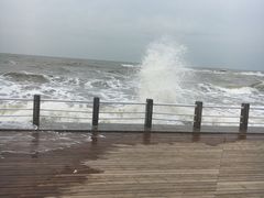 -日照灯塔风景区