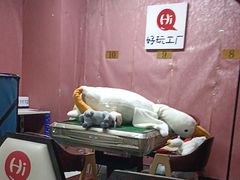 -好玩工厂密室·鹅鸭杀·桌游拼豆电玩