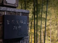 -莫干山风景区
