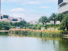 -龙江公园