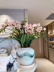 体验后-深圳芙必优医疗美容·抗衰中心