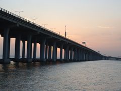 -宝安西湾红树林湿地公园