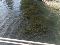-深圳龙潭公园