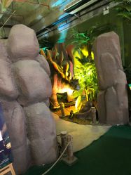 点击看大图 -恐龙探索乐园(磁器口店)