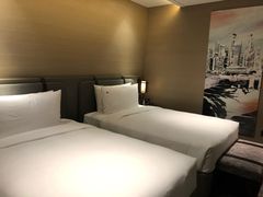 -新加坡瑞士史丹福酒店